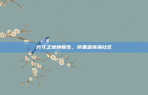 方寸之地焕新生,邻里温情满社区