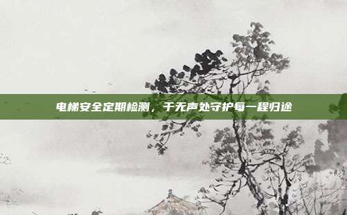 电梯安全定期检测,于无声处守护每一程归途