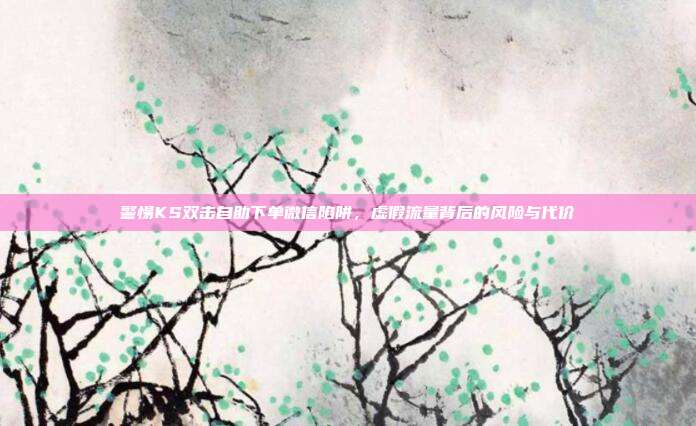 警惕KS双击自助下单微信陷阱，虚假流量背后的风险与代价