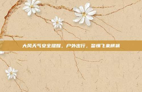 大风天气安全提醒,户外出行,警惕飞来横祸