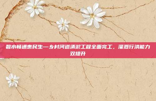 碧水畅通惠民生—乡村河道清淤工程全面完工,灌溉行洪能力双提升