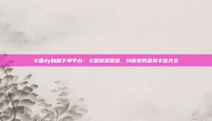 卡盟dy自助下单平台:卡盟货源渠道,抖音业务品类丰富齐全