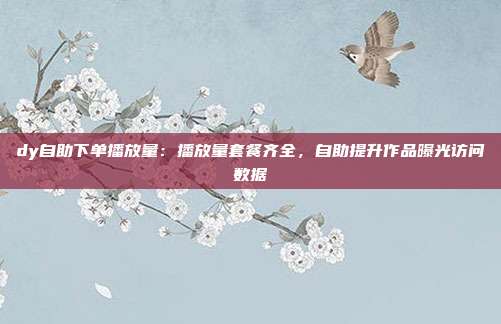 dy自助下单播放量：播放量套餐齐全，自助提升作品曝光访问数据