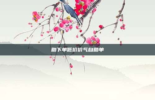 助下单低价价气自助单