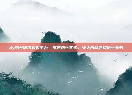 dy粉丝低价购买平台:多档粉丝套餐,线上自助选购粉丝业务