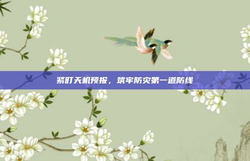 紧盯天机预报，筑牢防灾第一道防线