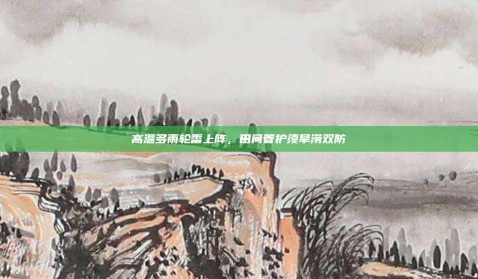 高温多雨轮番上阵，田间管护须旱涝双防