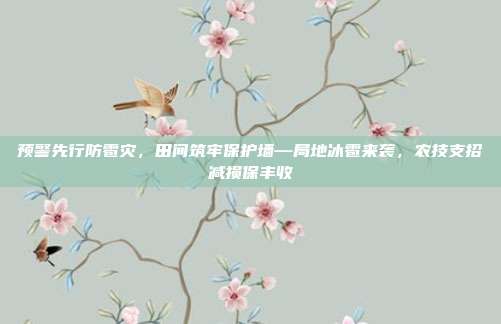 预警先行防雹灾,田间筑牢保护墙—局地冰雹来袭,农技支招减损保丰收