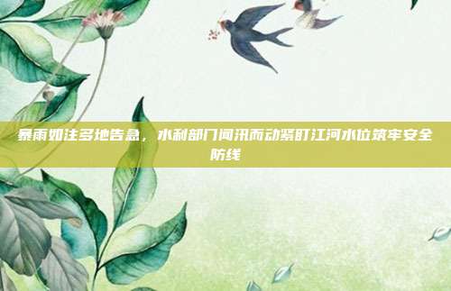 暴雨如注多地告急,水利部门闻汛而动紧盯江河水位筑牢安全防线