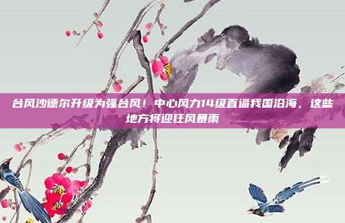 台风沙德尔升级为强台风！中心风力14级直逼我国沿海，这些地方将迎狂风暴雨