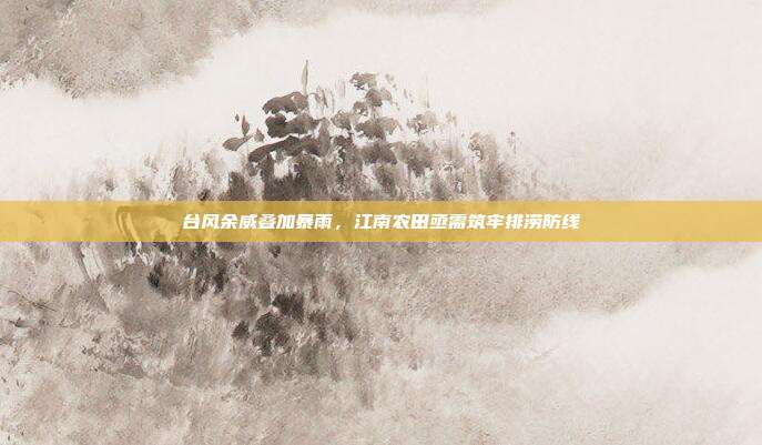 台风余威叠加暴雨,江南农田亟需筑牢排涝防线