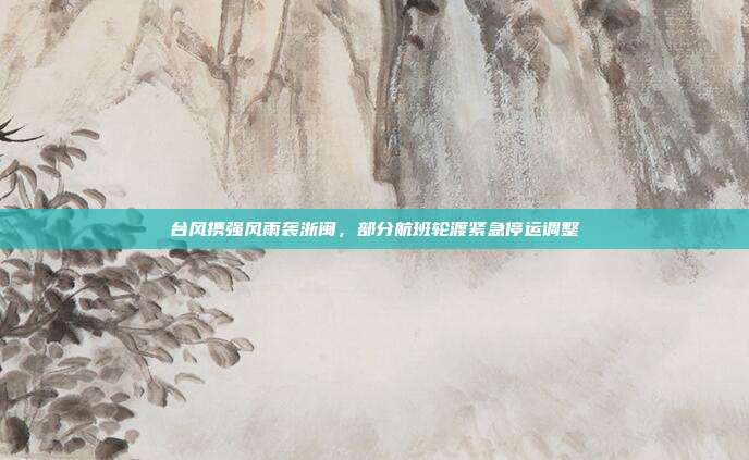 台风携强风雨袭浙闽,部分航班轮渡紧急停运调整