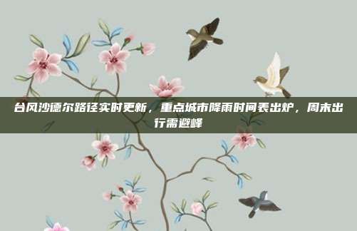 台风沙德尔路径实时更新,重点城市降雨时间表出炉,周末出行需避峰