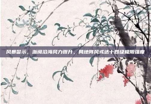 风暴警示,浙闽沿海风力骤升,局地阵风或达十四级极限强度