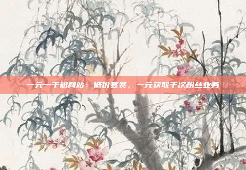 一元一千粉网站:低价套餐,一元获取千次粉丝业务