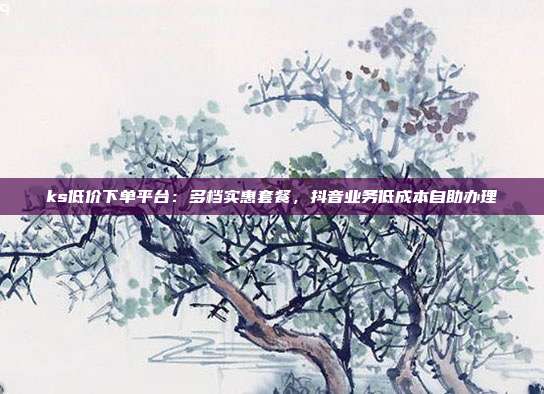ks低价下单平台：多档实惠套餐，抖音业务低成本自助办理