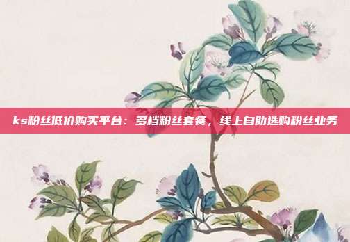 ks粉丝低价购买平台:多档粉丝套餐,线上自助选购粉丝业务