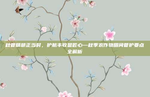 秋管精耕正当时，护航丰收显匠心—秋季农作物田间管护要点全解析