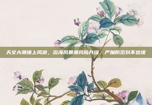 天文大潮撞上风浪，沿海风暴潮风险升级，严加防范刻不容缓