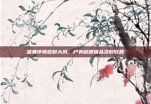 雷暴伴随短时大风，户外晾晒物品及时收回