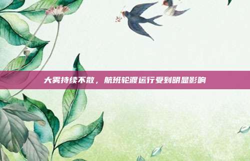 大雾持续不散，航班轮渡运行受到明显影响