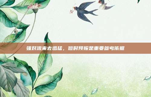 强对流来去迅猛，短时预报是重要参考依据