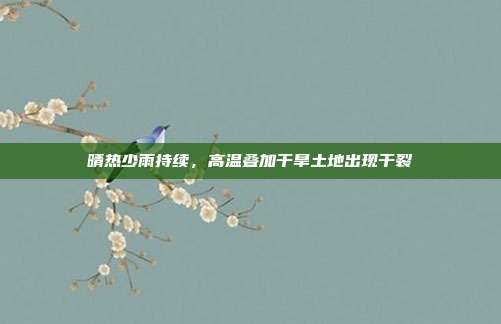 晴热少雨持续，高温叠加干旱土地出现干裂