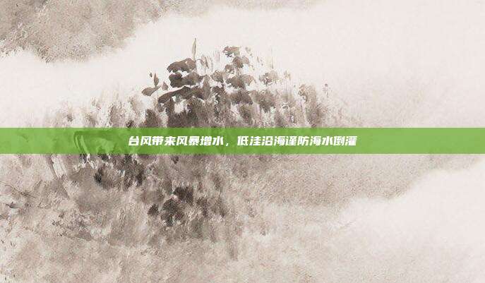 台风带来风暴增水，低洼沿海谨防海水倒灌