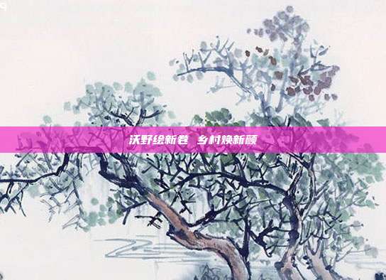 沃野绘新卷 乡村焕新颜
