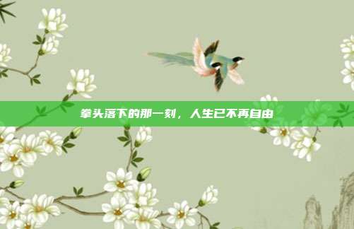 拳头落下的那一刻，人生已不再自由