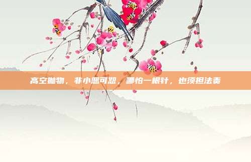 高空抛物，非小恶可恕，哪怕一根针，也须担法责