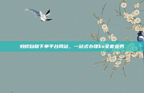 蚂蚁自助下单平台网站,一站式办理ks全套业务