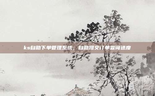 ks自助下单管理系统,自助提交订单查询进度