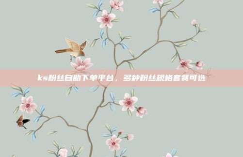 ks粉丝自助下单平台,多种粉丝规格套餐可选
