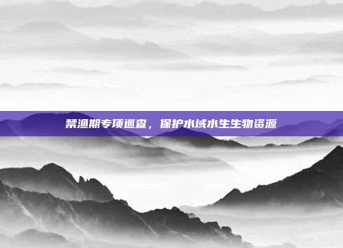 禁渔期专项巡查,保护水域水生生物资源