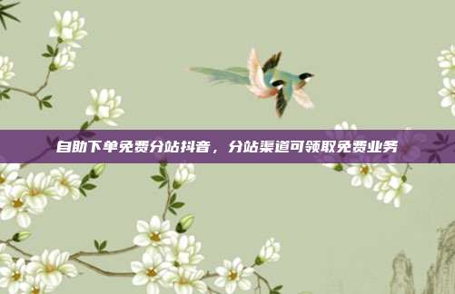 自助下单免费分站抖音,分站渠道可领取免费业务