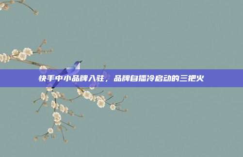 快手中小品牌入驻,品牌自播冷启动的三把火