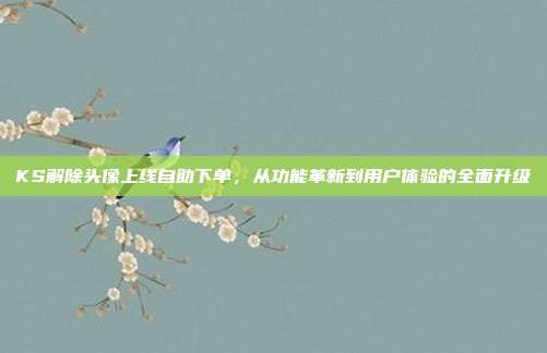 KS解除头像上线自助下单，从功能革新到用户体验的全面升级