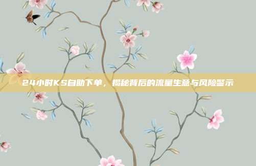 24小时KS自助下单，揭秘背后的流量生意与风险警示