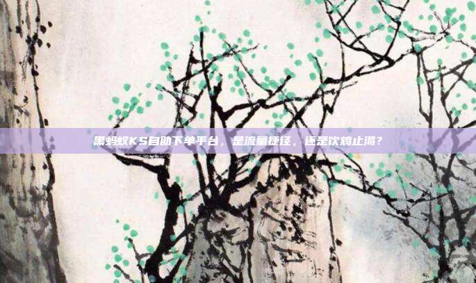 黑蚂蚁KS自助下单平台，是流量捷径，还是饮鸩止渴？