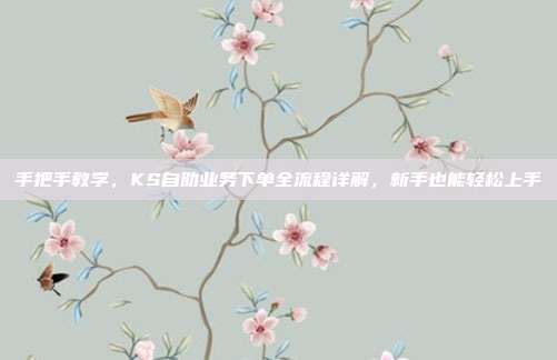 手把手教学，KS自助业务下单全流程详解，新手也能轻松上手