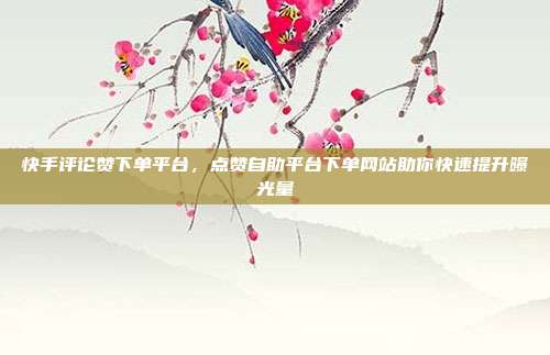 快手评论赞下单平台,点赞自助平台下单网站助你快速提升曝光量