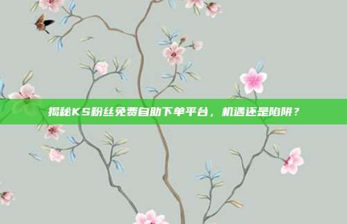 揭秘KS粉丝免费自助下单平台，机遇还是陷阱？
