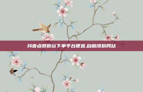 抖音点赞粉丝下单平台便宜,自助涨粉网站