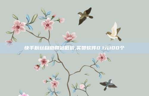 快手粉丝自助网站低价,买赞软件0.1元100个