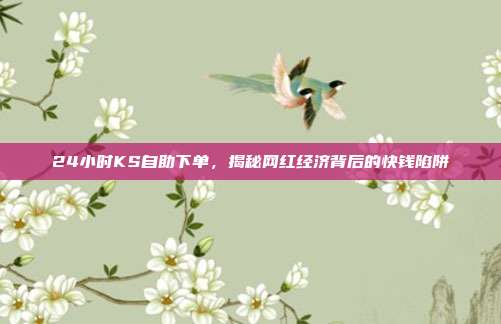24小时KS自助下单，揭秘网红经济背后的快钱陷阱