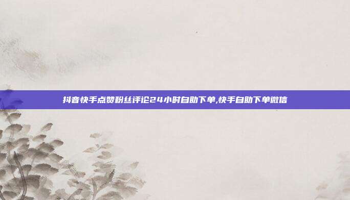 抖音快手点赞粉丝评论24小时自助下单,快手自助下单微信