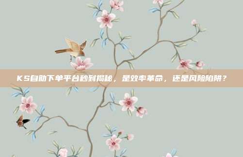 KS自助下单平台秒到揭秘，是效率革命，还是风险陷阱？