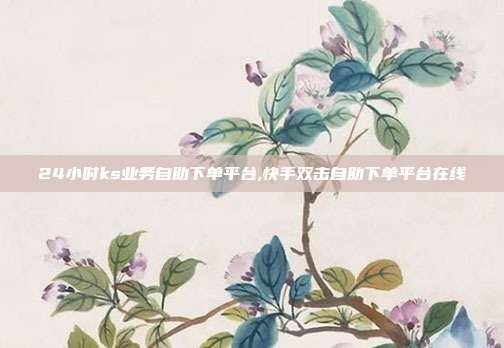 24小时ks业务自助下单平台,快手双击自助下单平台在线