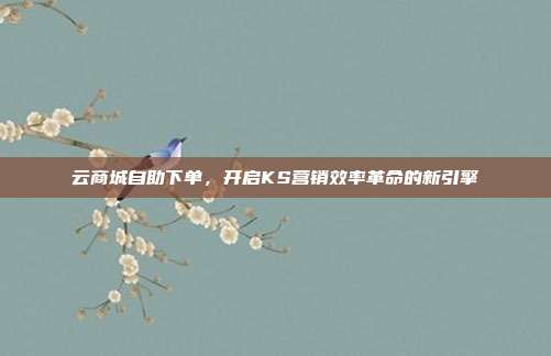 云商城自助下单，开启KS营销效率革命的新引擎